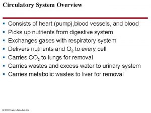 Circulatory System Overview Consists of heart pump blood