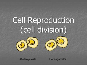 Cell Reproduction cell division What is cell division