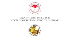 MEYVE VE ASMA TRLERNDE TESCL BAVURU SREC VE