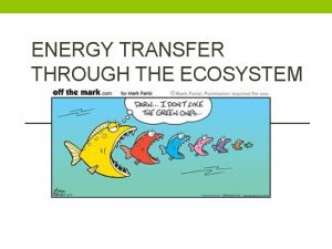 ENERGY TRANSFER THROUGH THE ECOSYSTEM Food Chains and
