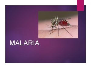 MALARIA Malaria is an infectious disease caused by