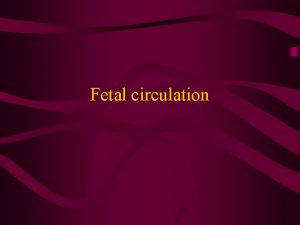 Fetal circulation Neonatal circulation Placenta and umbilical vessels