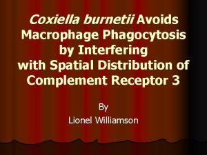 Coxiella burnetii Avoids Macrophage Phagocytosis by Interfering with