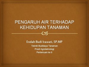 PENGARUH AIR TERHADAP KEHIDUPAN TANAMAN Endah Budi Irawati