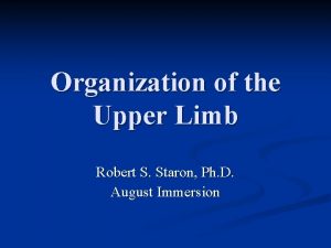 Organization of the Upper Limb Robert S Staron