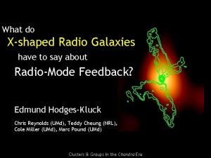 What do Xshaped Radio Galaxies have to say