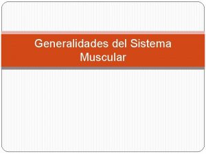 Generalidades del Sistema Muscular El sistema muscular es