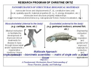 RESEARCH PROGRAM OF CHRISTINE ORTIZ NANOMECHANICS OF STRUCTURAL