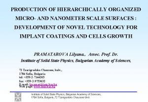 PRODUCTION OF HIERARCHICALLY ORGANIZED MICRO AND NANOMETER SCALE