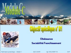 Obissance Sociabilit Franchissement Prformation cynotechnique Module C MAJ