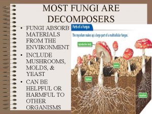 MOST FUNGI ARE DECOMPOSERS FUNGI ABSORB MATERIALS FROM