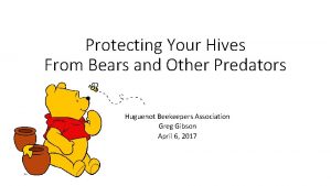 Protecting Your Hives From Bears and Other Predators