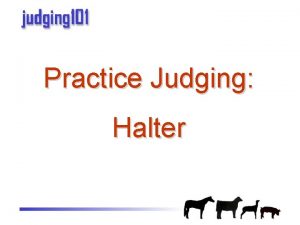 Practice Judging Halter Halter Classes printable reasons on