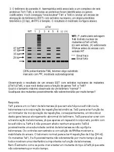 3 O telmero do parasita H haemophilus est