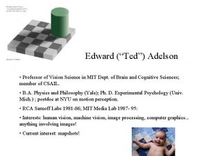 Edward Ted Adelson Professor of Vision Science in