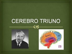 CEREBRO TRIUNO CONCEPTO Son tres sistemas que conforman