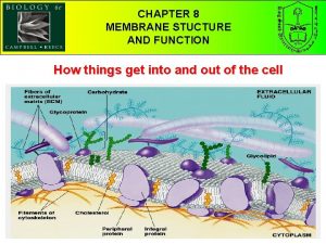 CHAPTER 58 THE STRUCTURE MEMBRANE AND STUCTURE FUNCTION