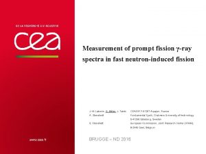 Measurement of prompt fission ray spectra in fast