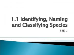 1 1 Identifying Naming and Classifying Species SBI