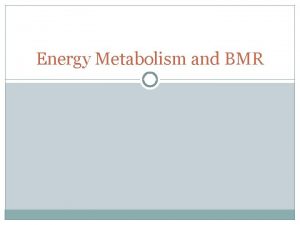 Energy Metabolism and BMR Energy Metabolism Metabolism refers