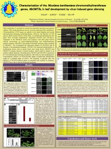 Characterization of the Nicotiana benthamiana chromomethyltransferase genes Nb