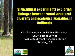 Silvicultural experiments exploring linkages between stand structural diversity