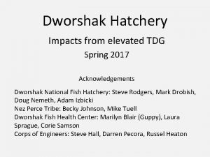 Dworshak Hatchery Impacts from elevated TDG Spring 2017