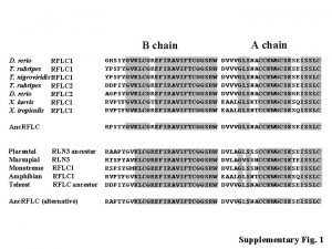 B chain A chain D rerio RFLC 1