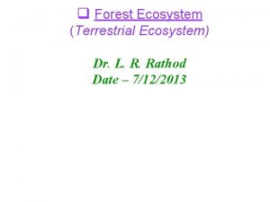 q Forest Ecosystem Terrestrial Ecosystem Dr L R