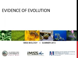 EVIDENCE OF EVOLUTION IMSS BIOLOGY SUMMER 2013 Evolution