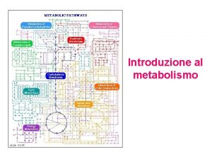 Introduzione al metabolismo Reazioni accoppiate Somma Reazioni accoppiate