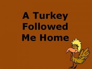 A turkey followed me home