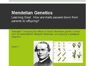 Mendelian Genetics Learning Goal How are traits passed