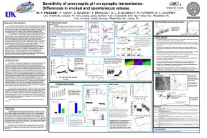 Sensitivity of presynaptic p H on synaptic transmission