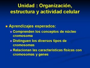 Unidad Organizacin estructura y actividad celular n Aprendizajes