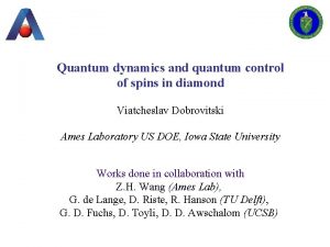 Quantum dynamics and quantum control of spins in