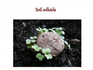 Soil colloids CHEMICAL PROPERTIES OF SOIL Soil Colloids