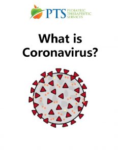 What is Coronavirus The Coronavirus is an illness