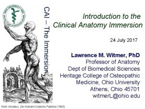 Introduction to the Clinical Anatomy Immersion 24 July