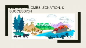 TOPIC 2 4 BIOMES ZONATION SUCCESSION SIGNIFICANT IDEAS