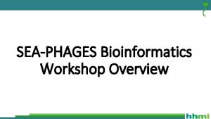 SEAPHAGES Bioinformatics Workshop Overview Objectives Overall Characterize and