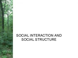 SOCIAL INTERACTION AND SOCIAL STRUCTURE Social Interaction and