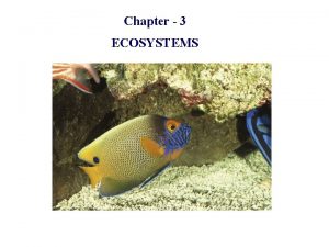 Chapter 3 ECOSYSTEMS Ecosystem An ecosystem is a