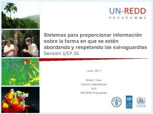 Sistemas para proporcionar informacin sobre la forma en