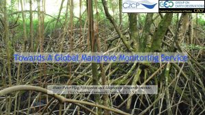 Towards A Global Mangrove Monitoring Service HansPeter Plag