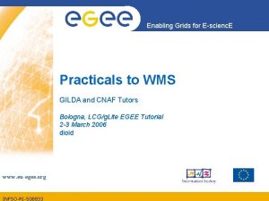 Enabling Grids for Escienc E Practicals to WMS