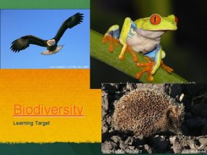 Biodiversity Learning Target BIODIVERSITY What is biodiversity The