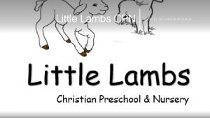 Little Lambs CPN COVID 19 SHOW ROUND Little