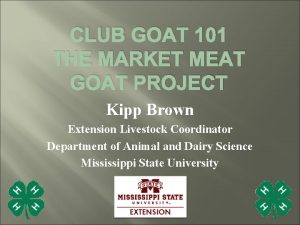 CLUB GOAT 101 THE MARKET MEAT GOAT PROJECT