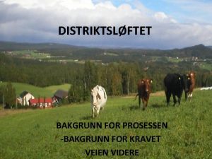 DISTRIKTSLFTET BAKGRUNN FOR PROSESSEN BAKGRUNN FOR KRAVET VEIEN